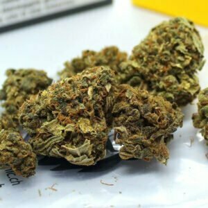 FedTonic–Indoor Hanfblueten 04