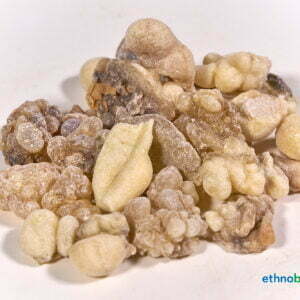 Boswellia frereana 05