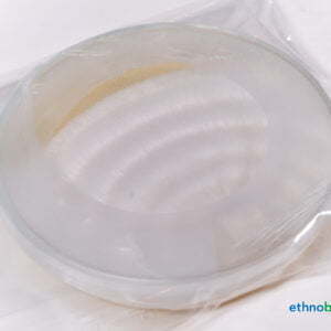 Mycel Petrischale 01