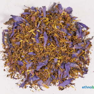 Nymphaea caerulea 01