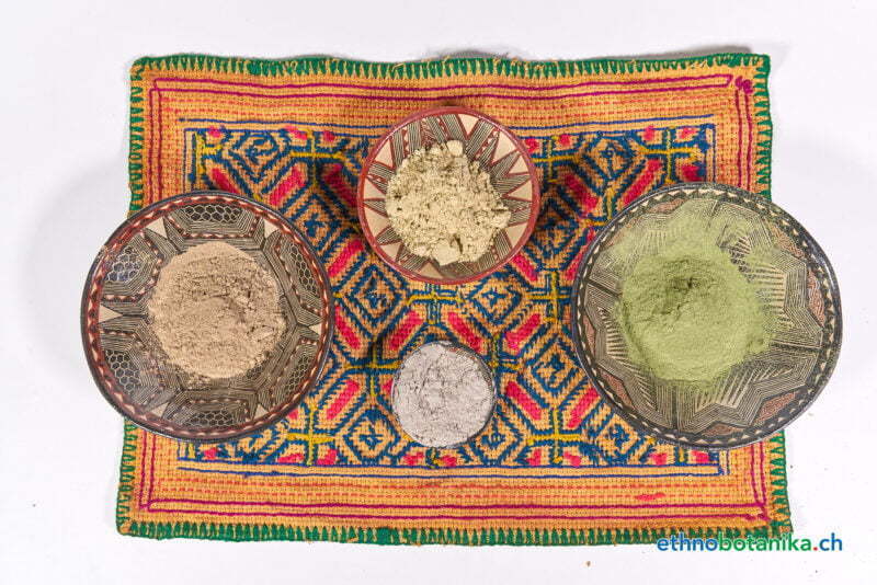 Rape kolletion set 10