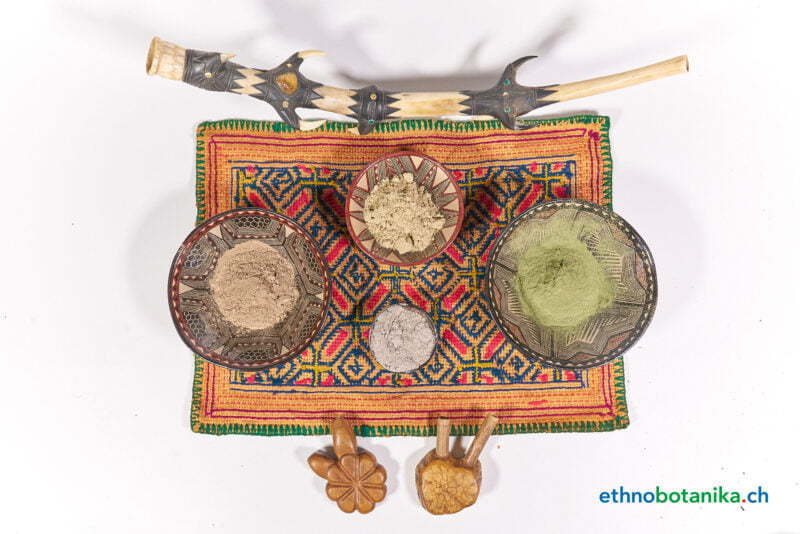 Rape kolletion set 11