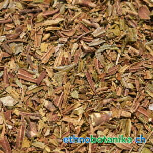 Rhododendron ferrugineum rohstoff 01