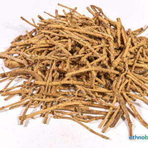 Silene capenensis 02