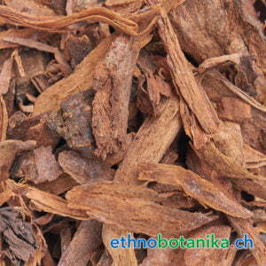 Styrax officinalis Rinde rohstoff 01