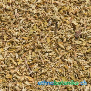 Turnera diffusa rohstoff 01