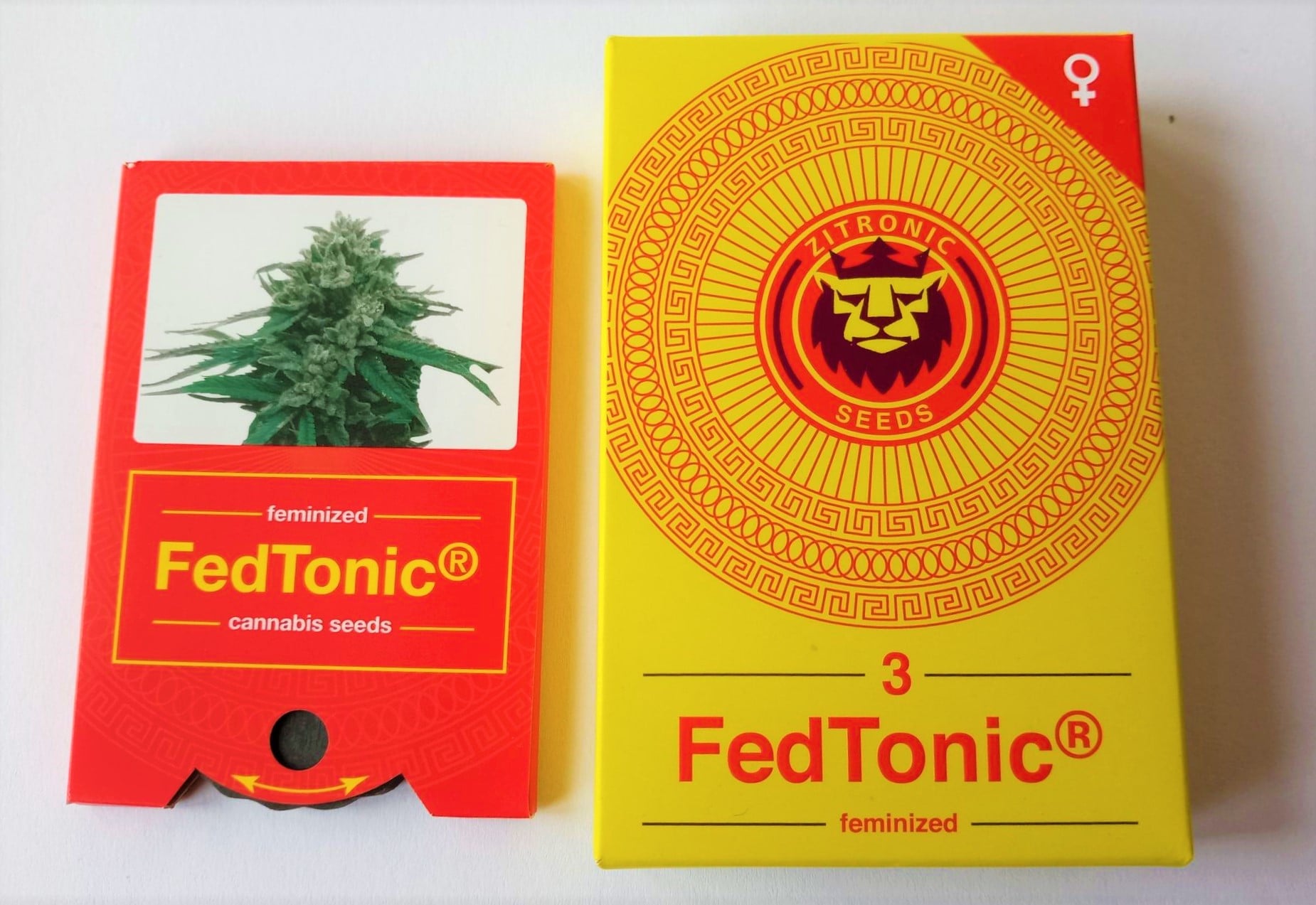 FedTonic - Feminized Seeds - Zitronic 3 FedTonic Feminized Seeds 03