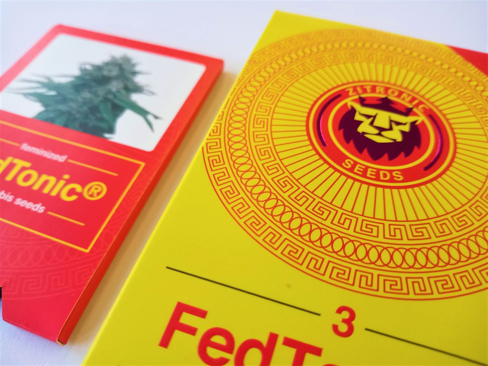 FedTonic - Feminized Seeds - Zitronic 6 FedTonic Feminized Seeds 05