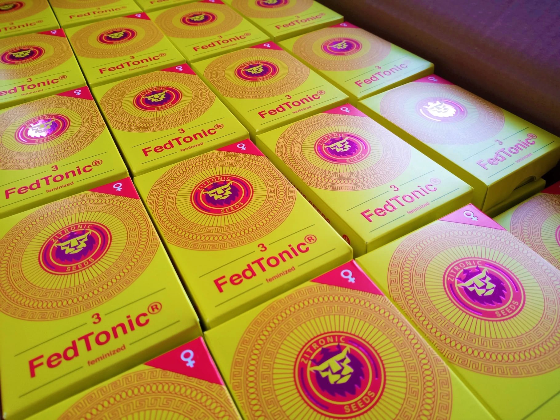 FedTonic - Feminized Seeds - Zitronic 5 FedTonic Feminized Seeds 06