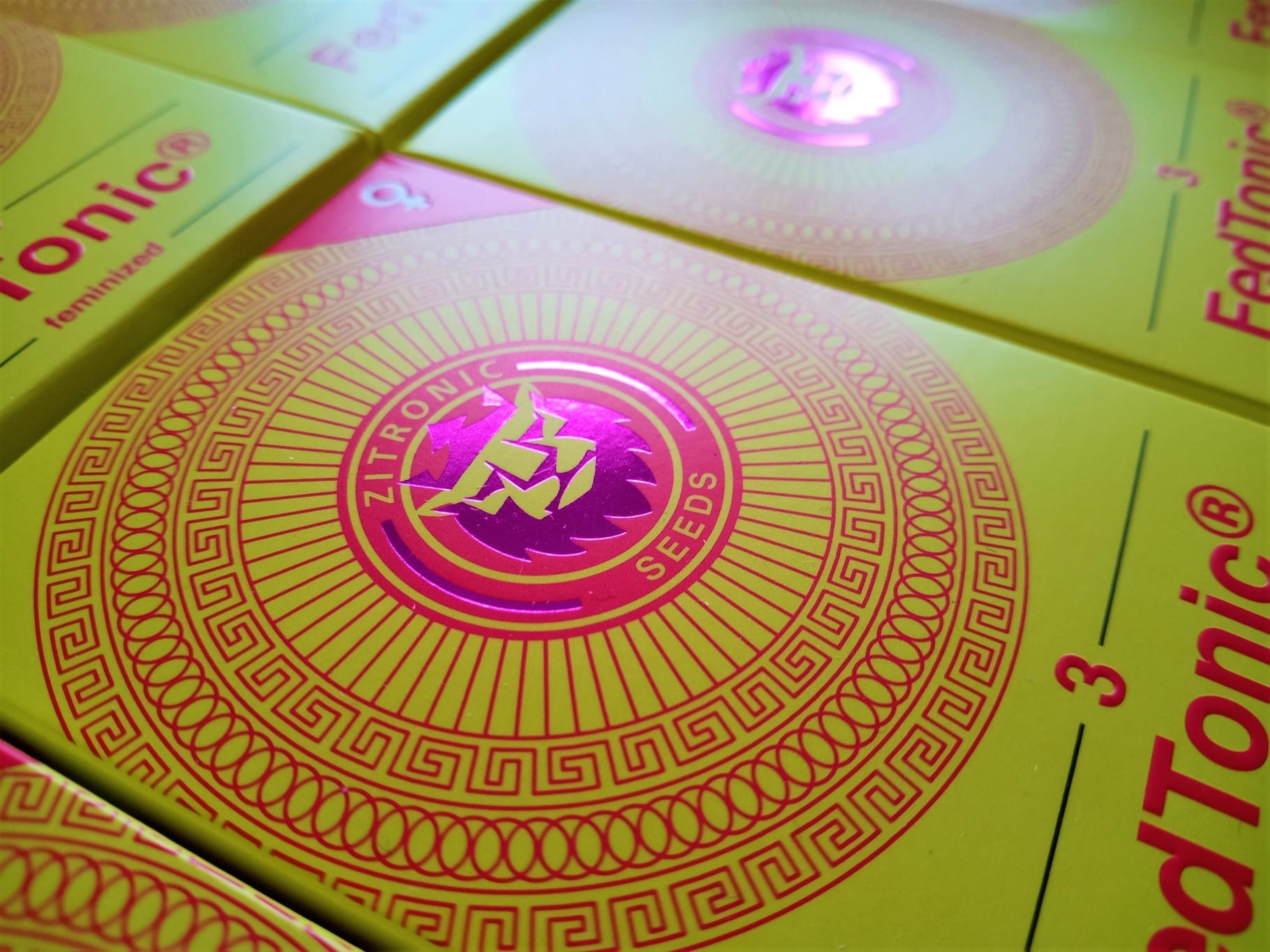 FedTonic - Feminized Seeds - Zitronic 7 FedTonic Feminized Seeds 07