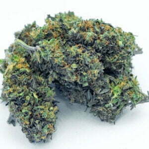 Pink Grapefruit holy shit biologisch indoor hanfblueten 01