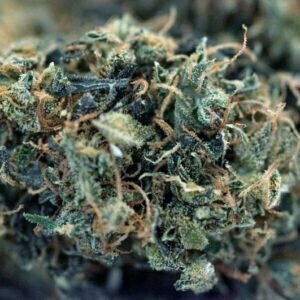 Pink Grapefruit holy shit biologisch indoor hanfblueten 02