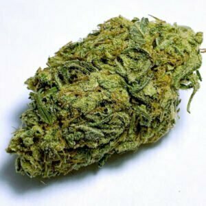 ganja haze holy shit biologisch indoor hanfblueten 01