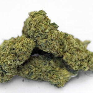 rasta mango holy shit biologisch indoor hanfblueten 01.jpg