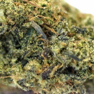 rasta mango holy shit biologisch indoor hanfblueten 02.jpg