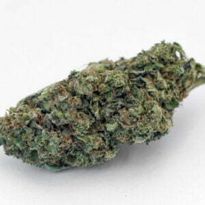 rhabarbie holy shit biologische indoor hanfblueten 01