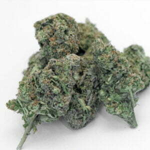 rhabarbie holy shit biologische indoor hanfblueten 02