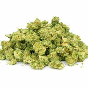 glue gelato nano nuggs swiss botanic hydrokultur indoor hanfblueten 01