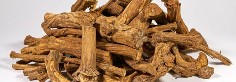 pharmacopoeia.ethnobotanika header v.10.0